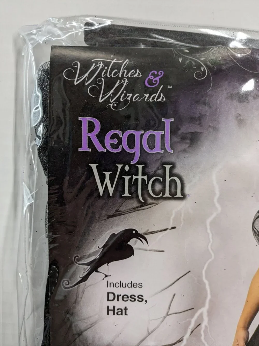 Rubies Witches & Wizards Regal Witch Child Dress Hat Set Costume Size 3/4 XSmall